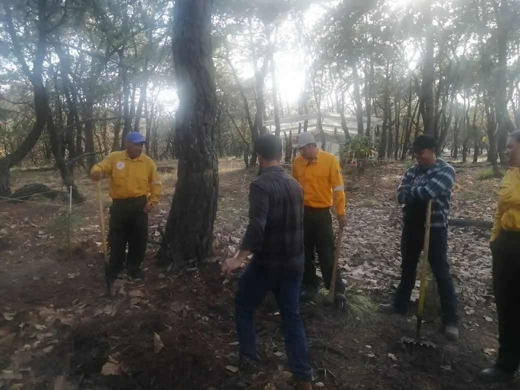Visitantes y ciclistas en los senderos del bosque
