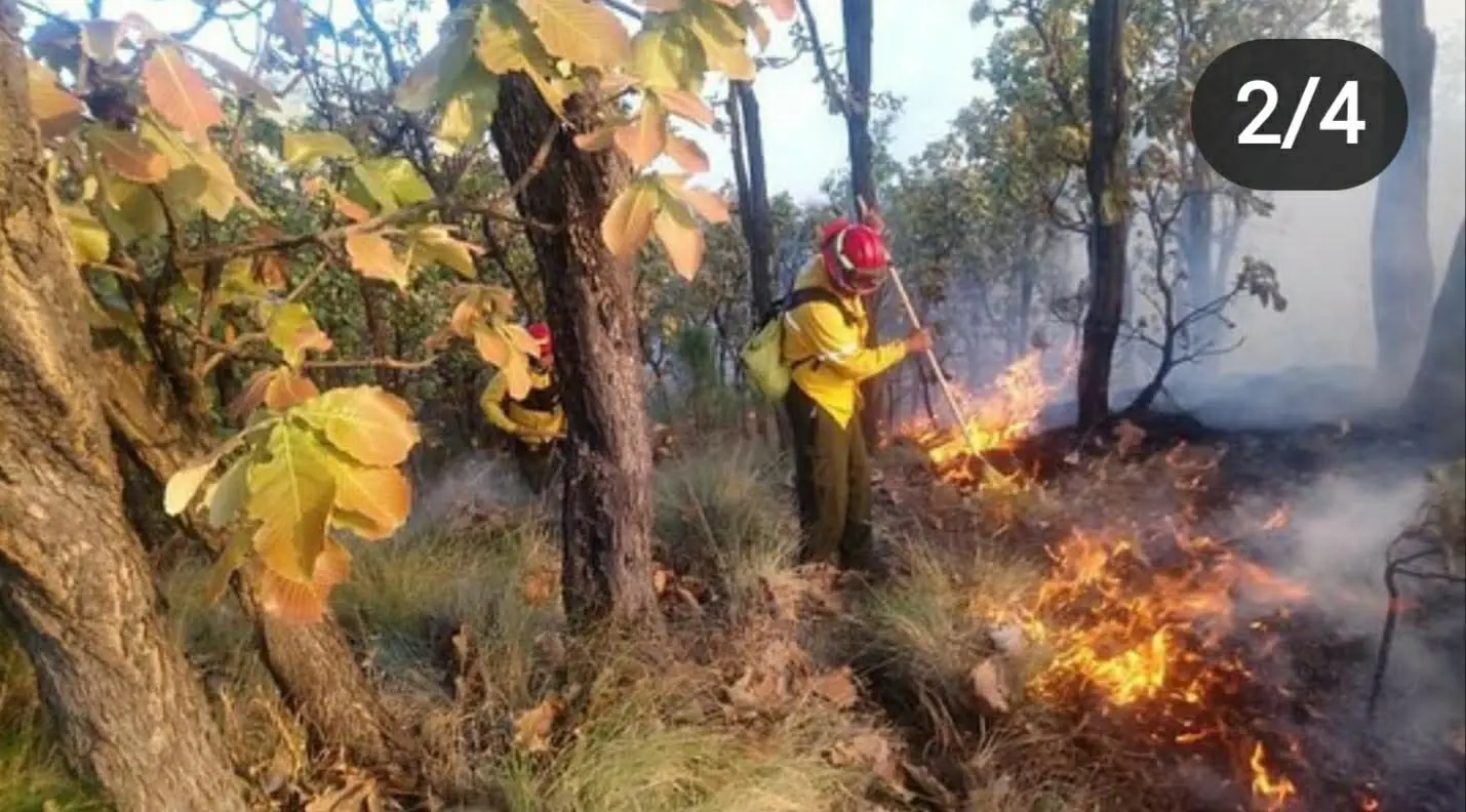 Brigada de prevención de incendios en labores de campo