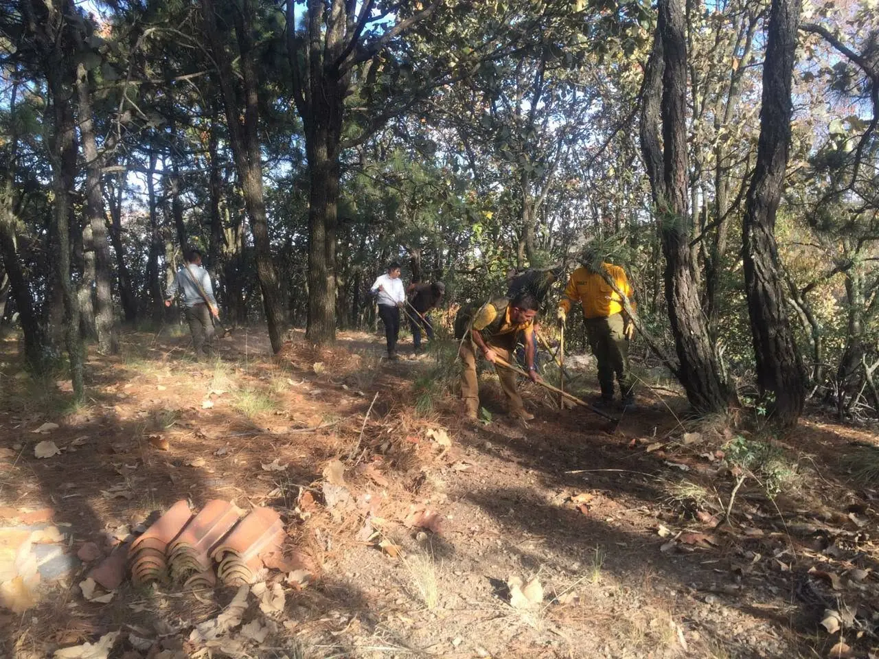 Atención a un incendio forestal