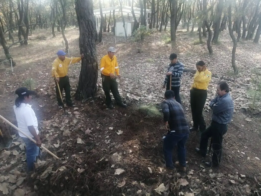 Jornada comunitaria de limpieza y mantenimiento