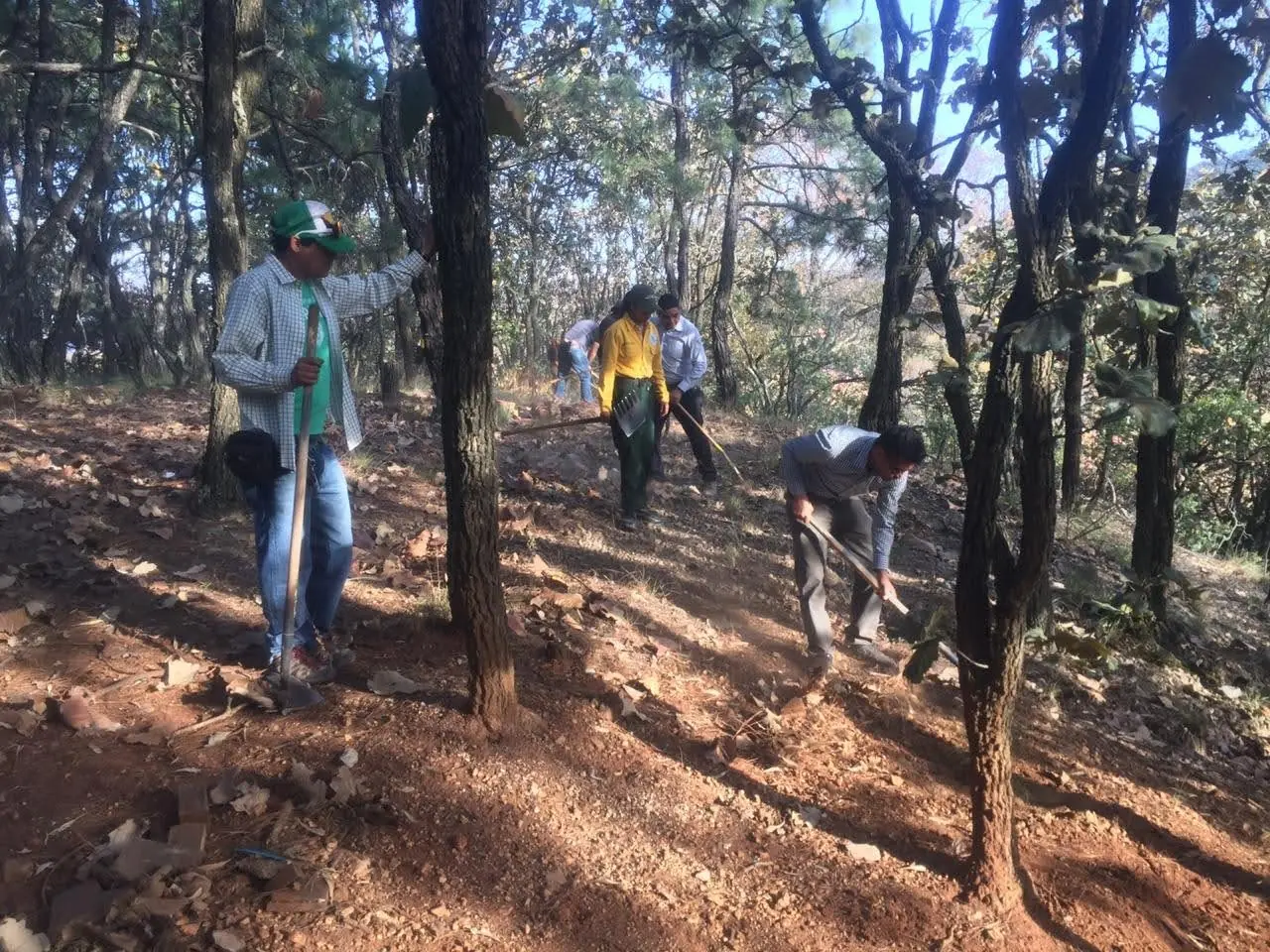 Paisaje y vegetación del Bosque La Primavera