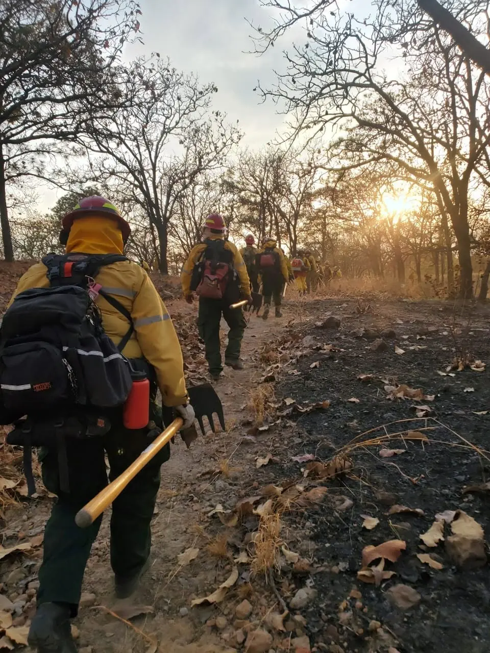 Atención a un incendio forestal