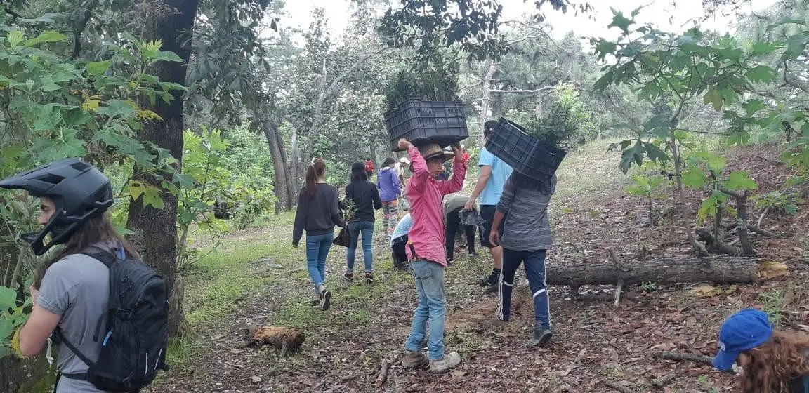 Brigada de prevención de incendios en labores de campo