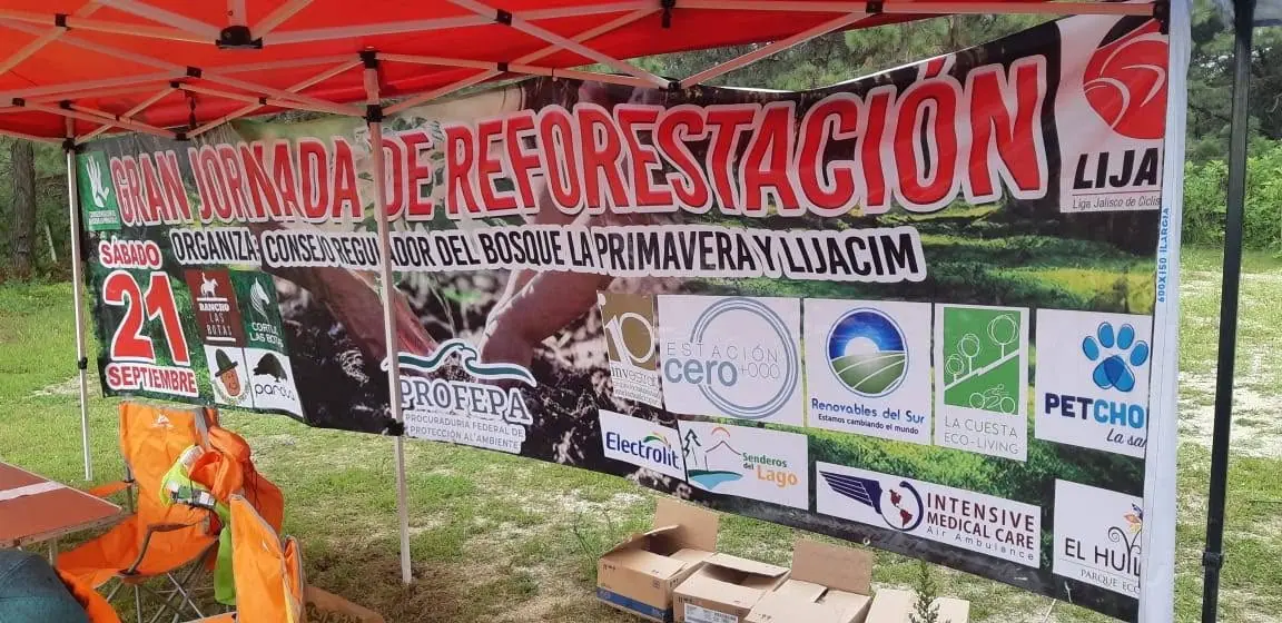 Reforestación con especies nativas