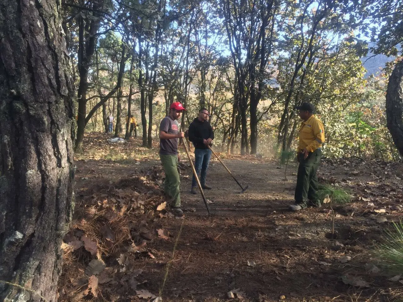 Brigada de prevención de incendios en labores de campo